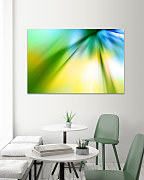 Obraz Farebná žiara 1436